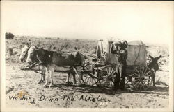 Washing Down the Alkaline Postcard