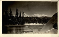 On Kenai River Alaska Postcard Postcard