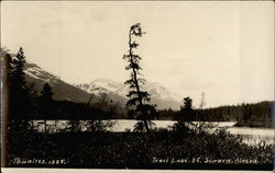 Trail Lake, 28, Seward Alaska Postcard