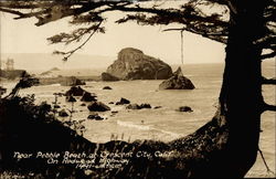 Pebble Beach Crescent City, CA Postcard Postcard