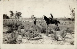 On hosreback with the herd Dubios, WY Postcard Postcard