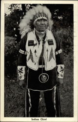 Indian Chief Native Americana Postcard Postcard