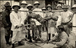 Asian Explorers & Giant Snake Postcard