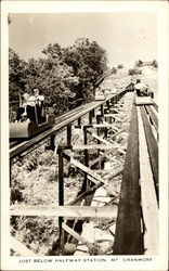 Just Below Halfway Station, Mt. Cranmore Postcard