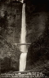 Multnomah Falls, Benson Bridge, Columbia River Highway Postcard