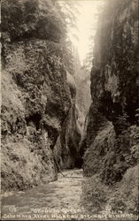 Oneonta Gorge Postcard