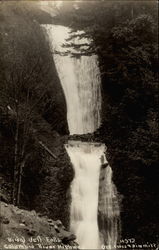 Bridal Veil Falls Postcard