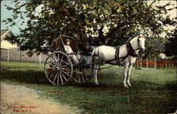 Old One Horse Shay Relic of NH Postcard