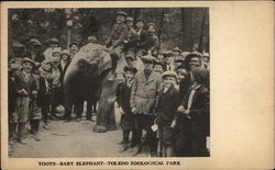 Toots - Baby Elephant - Toledo Zoological park Ohio Postcard Postcard