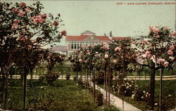 Rose Garden Portland, OR Postcard Postcard