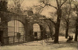 Bear Pits at the Zoo Cincinnati, OH Postcard Postcard