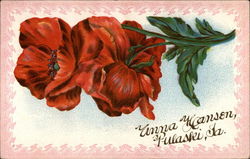 Anna Hansen, Pulaski, IA Flowers Postcard Postcard