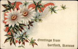 Greetings from Hartford, Kansas Postcard