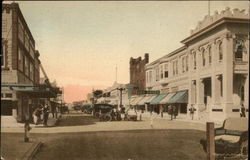 Clematis Avenue, West from Olive Street Postcard