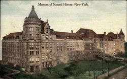 American Museum of Natural History New York, NY Postcard Postcard