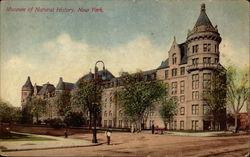 Museum of Natural History New York, NY Postcard Postcard