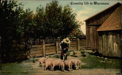 Country life in Wisconsin Postcard