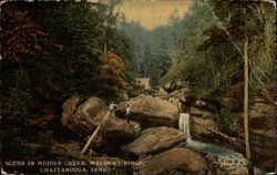 Scene in Middle Creek, Walden's Ridge Chattanooga, TN Postcard Postcard