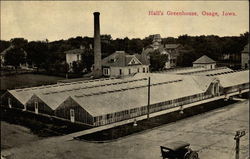 Hall's Greenhouse Osage, IA Postcard Postcard