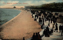 Beach at Jackson Park Postcard