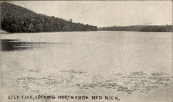 Lily Lake, Looking North from Red Rock Wapwallopen, PA Postcard Postcard