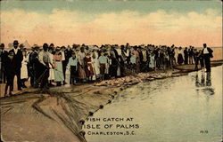 Fish Catch at Isle of Palms Postcard