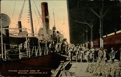 Steamer Unloading Cargo of bananas Charleston, SC Postcard Postcard