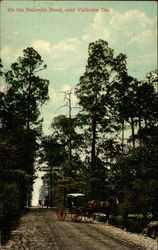 On the Belleville Road Valdosta, GA Postcard Postcard