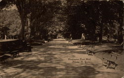 Washington Park Mall, Albany, N.Y Postcard