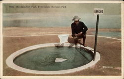 Handkerchief Pool, Yellowstone National Park Postcard