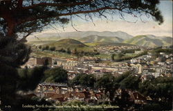 Looking North from Buena Vista Park Postcard