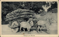 Bullock Cart, Benares Postcard