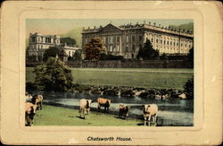 Chatsworth House England Cows & Cattle Postcard Postcard