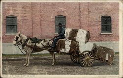 A typical cotton cart Postcard