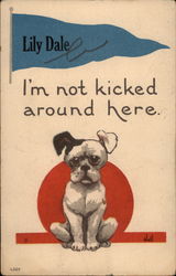 I'm not kicked around here  Lily Dale, NY Dogs Postcard Postcard