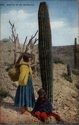 Natives of the Southwest Postcard