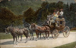 A White Mountain State Coach Horses Postcard Postcard