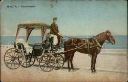 Malta- Fourwheeler Horses Postcard Postcard