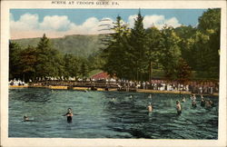 Lake Scene, Croop's Glen Hunlock Creek, PA Postcard Postcard