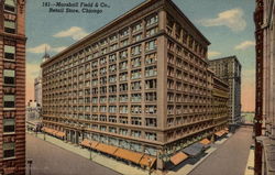 Marshall Field & Co. Retail Store Postcard