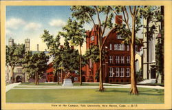 View of the Campus Yale University New Haven, CT Postcard Postcard