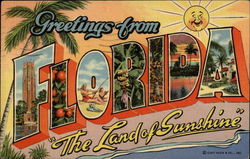 Greetings from Florida "The Land of Sunshine" Large Letter Postcard Postcard