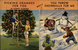 Picking oranges for you in sunny Florida while you throw snowballs for me up North Postcard