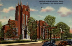 Peabody Museum of Natural History, Yale University New Haven, CT Postcard Postcard