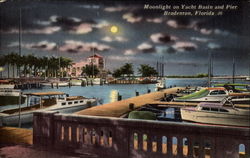 Moonlight on Yacht Basin and Pier Postcard