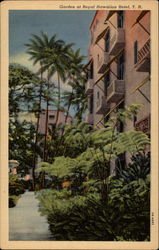 Garden at Royal Hawaiian Hotel Postcard