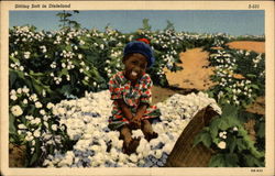 Sitting Soft in Dixieland Postcard