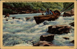 Shooting the Rapids, Upper Rogue River Oregon Postcard Postcard