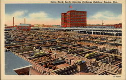 Union Stock Yards, Showing Exchange Building Omaha, NE Postcard Postcard