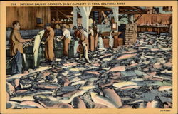 Interior Salmon Cannery, Daily Capactiy 60 Tons, Columbia River Fish Postcard Postcard